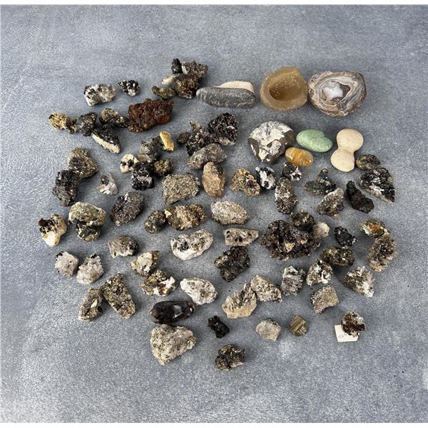 Enargite Pyrite Bornite Butte Montana Specimens