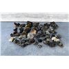Image 1 : Enargite Pyrite Bornite Butte Montana Specimens