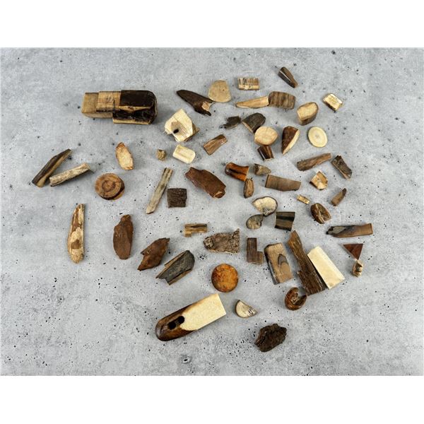 Collection of Fossil Mammoth Fragments