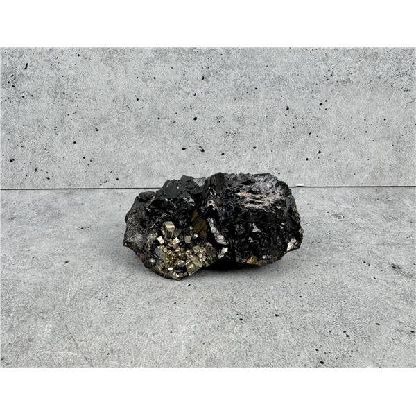 Enargite and Pyrite Butte Montana Specimen