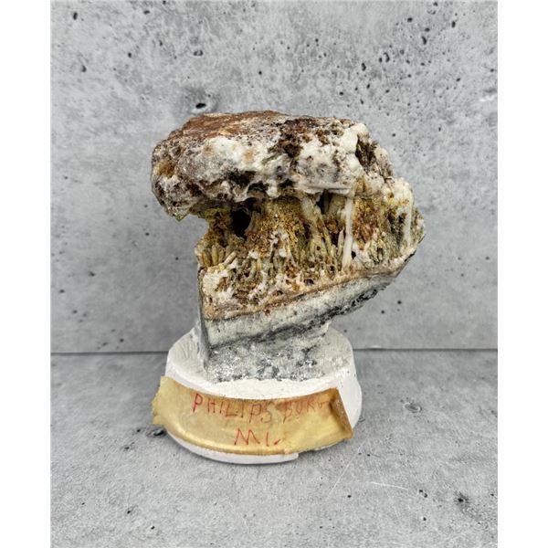 Unknown Quartz Specimen Philipsburg Montana