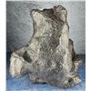 Image 1 : Iron Meteorite Unknown Locale