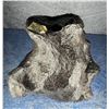 Image 2 : Iron Meteorite Unknown Locale
