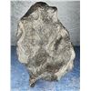 Image 3 : Iron Meteorite Unknown Locale