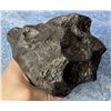 Image 9 : Iron Meteorite Unknown Locale