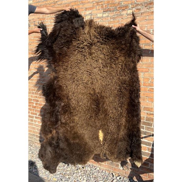 Large Taxidermy Montana Buffalo Hide Robe Rug