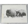 Image 1 : Tucker Smith Buffalo Print Artist Signed