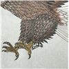Image 3 : R Wolf Signed Watercolor Painting of Eagle
