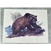 Image 1 : Dorman Grizzly Bear Print University of Montana