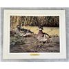 Image 1 : Willem S. De Beer Wood Duck Print