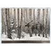 Image 1 : Stephen Lyman A Walk In The Woods Print