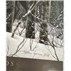 Image 2 : Stephen Lyman A Walk In The Woods Print