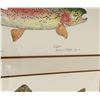 Image 3 : Eileen Klatt Montana Trout Prints