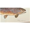 Image 5 : Eileen Klatt Montana Trout Prints
