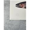 Image 2 : Joseph R Tomelleri Greenback Cutthroat Trout Print