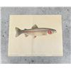 Image 1 : Ernest Schwiebert Trout Print