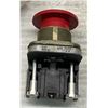 Image 2 : (2) Allen Bradley #800T-D6A Push Buttons