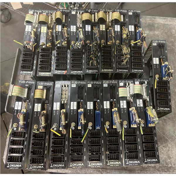 Lot of (17) Okuma #OPUS 7000 FUB-P4M4 Cards