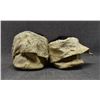 Image 3 : PLAINS MOCCASINS
