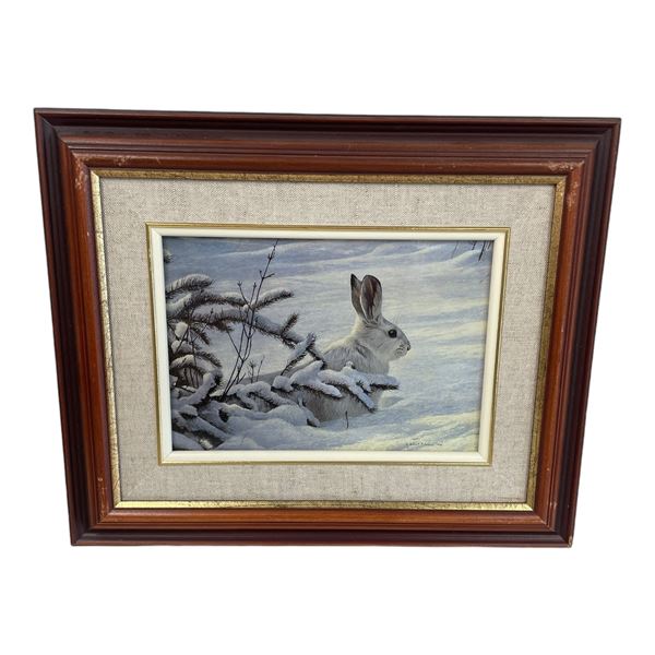 Framed Robert Bateman Print 1978 "Winter Snowshoe Hare"