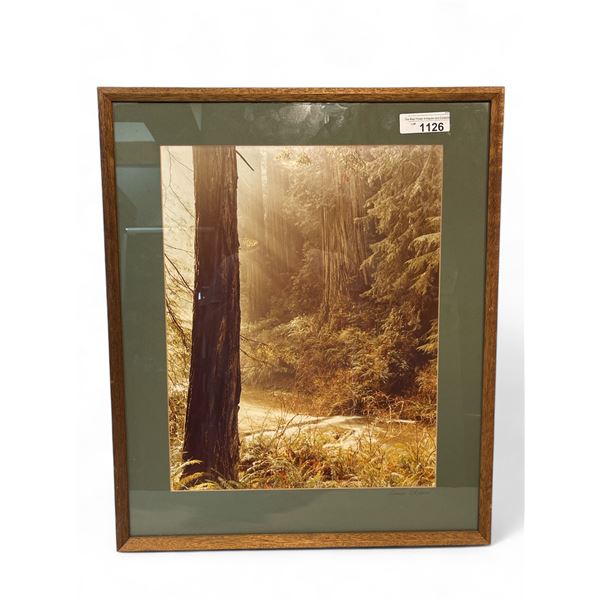 Framed Photograph By Larry Ulrich