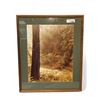 Image 1 : Framed Photograph By Larry Ulrich