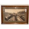 Image 1 : Vintage Framed Photoghraph Of Logger In The Field