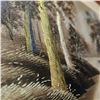 Image 2 : Framed Vintage Silk Screen Print Forrest And Canal Scene
