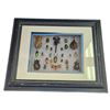 Image 1 : Framed Bugs In Shadowbox: Scorpion, Beetles, And More