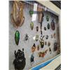 Image 2 : Framed Bugs In Shadowbox: Scorpion, Beetles, And More