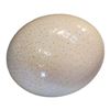 Image 1 : Hollow Ostrich Egg
