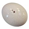 Image 2 : Hollow Ostrich Egg