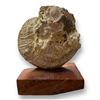 Image 2 : Vintage Handmade Nautical Scene Art Out Of Shell And Wood