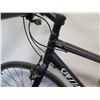 Image 8 : Specialized Vita Black Road Bike w/ Schwinn Seat