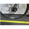 Image 8 : Giant Roam Gray Men's Road Bike