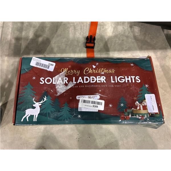 Merry Christmas Solar Ladder Lights