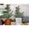Image 1 : Lot of 2 Artifical Trees for Thanksgiving Decoration