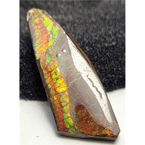 13)  MULTICOLORED NATURAL AMMONITE GEMSTONE