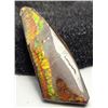 Image 1 : 13)  MULTICOLORED NATURAL AMMONITE GEMSTONE