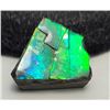 Image 1 : 12)  NATURAL  BLUE/GREEN FIRE 9.5 CT AMMONITE