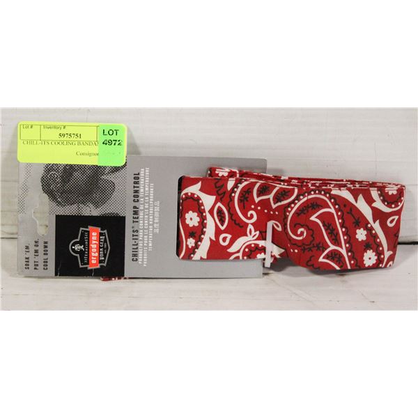 CHILL-ITS COOLING BANDANA