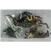 Image 1 : INSECTS, SNAKES, BIG GAME WILDLIFE COLLECTION