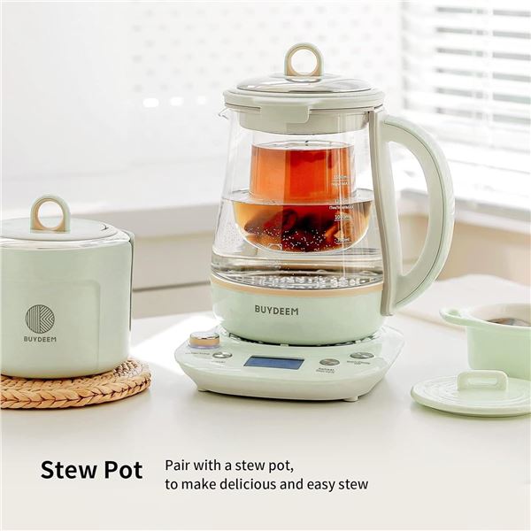 BRAND NEW BUYDEEM COZY GREENISH BEVERAGE MAKER
