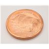 Image 1 : GOLDEN STATE MINT 5 OUNCE COPPER COIN