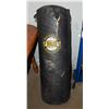 Image 1 : EVERLAST PUNCHING BAG