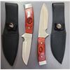 Image 1 : Camp / Hunting / Skinning Knife - 4 inch Blade Stainless NEW - LOT of 2 Knives