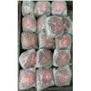 Image 1 : Lot of Tomar #PAR-36 Sealed Beam Strobe Lamps Red