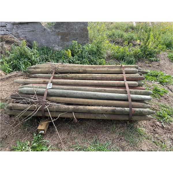 Approx. 50- 5 ft sharpened, treated posts, 2 1/2 to 3 inch