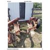 Image 2 : 3pt. Hitch 4 bottom Plow can also be 3 bottom plow with removal of last plow section. PH Kirby- (780