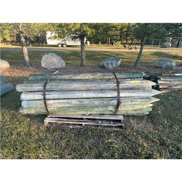 Approx 49- 5-6 in treated sharpened 8 ft